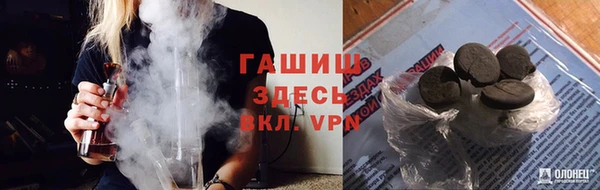спиды Каменногорск