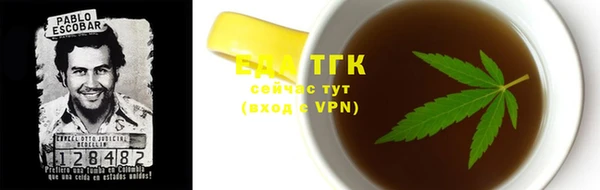 индика Карпинск
